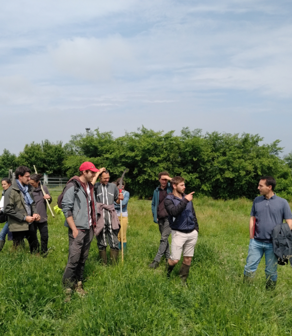 groupe formation